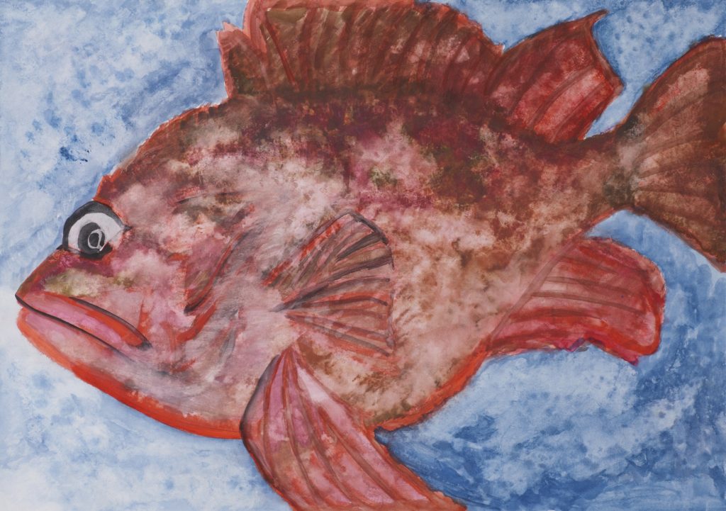 ジャパンゲームフィッシュ協会 会長賞