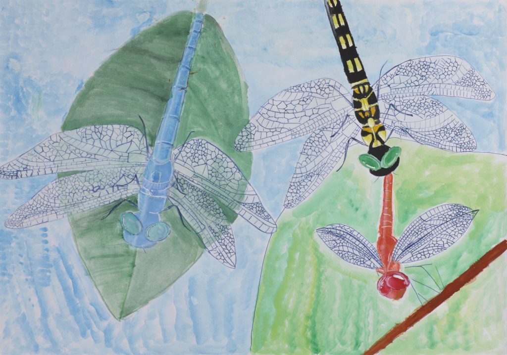 小学校高学年部門 銀賞