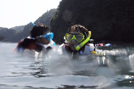 普段の洋上とは異なる海中の世界を覗いた