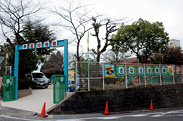 1972年に開園、以来40年間にわたり約7,000人の卒園児を送り出してきた早苗幼稚園。「色々なことを体験させたい」と言う成瀬園長。中でもスポーツや音楽、絵画といった、点数化し難い、身体と五感を使うことに注力しているそうです