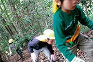 年長児の恒例行事「やまんば山への探検」では、結構な急坂を身体全体使って駆け上がります。遊びを通して気づかぬうちに体力が養われて行くのです